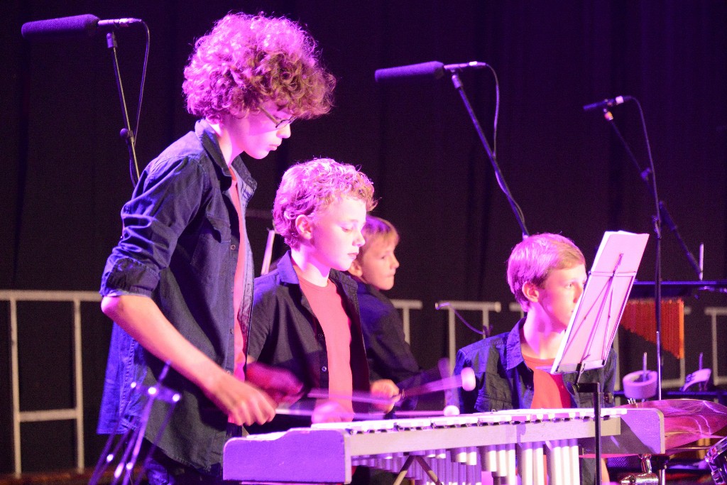 ../Images/Jubileumconcert 100 jaar Harpe Davids 142.jpg